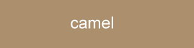 farbe_camel_knittex.jpg