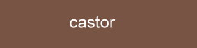 farbe_castor_cette.jpg