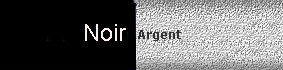 farbe_noir-argent.jpg