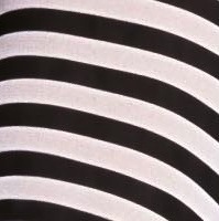 farbe_schwarz-weiss_fiore.jpg
